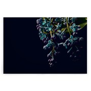 a254f1637dc150ba0e5697d391a70c66