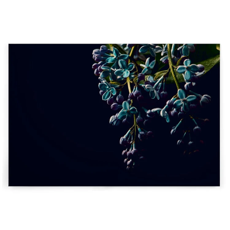 a254f1637dc150ba0e5697d391a70c66