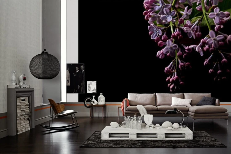 65462b173cd50737cecf07e083d1d50d