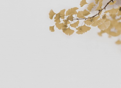 191ac163744dd4169d29cedd70396d04