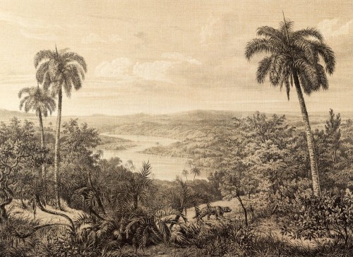 4065b2b30f4b4e967a1ff2e157c09478