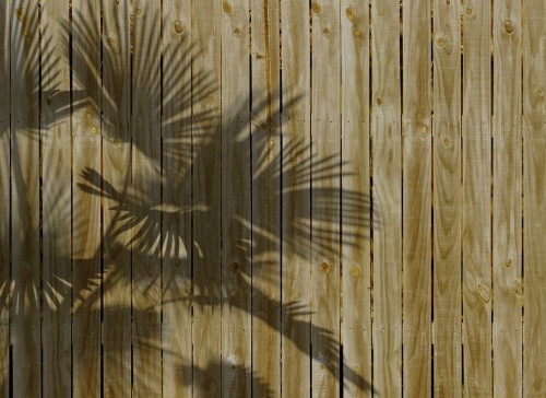 803a76acc4dfd24194e44106c218b0d4