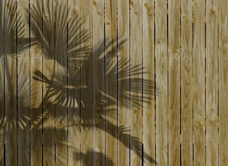 803a76acc4dfd24194e44106c218b0d4