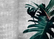 efb064d680bbc8b18246e2e93a578253