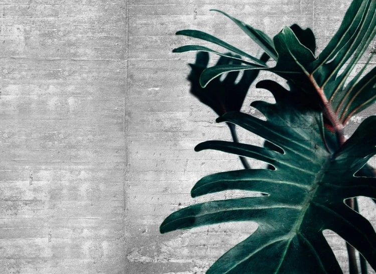 efb064d680bbc8b18246e2e93a578253