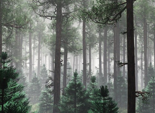 be11f690b39d95370fd83bc21b319f5e