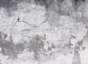 9d0faf19b31ab6626a0426ff36b3dc19
