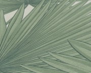 80d1ef53520d4115ae68438380259b1b