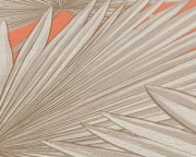 f359cebdfecdf006d80c318ff062689a