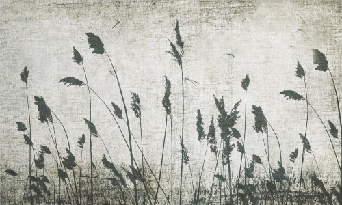 72e97d0c7d61d8d4c69e1b4c87283f22