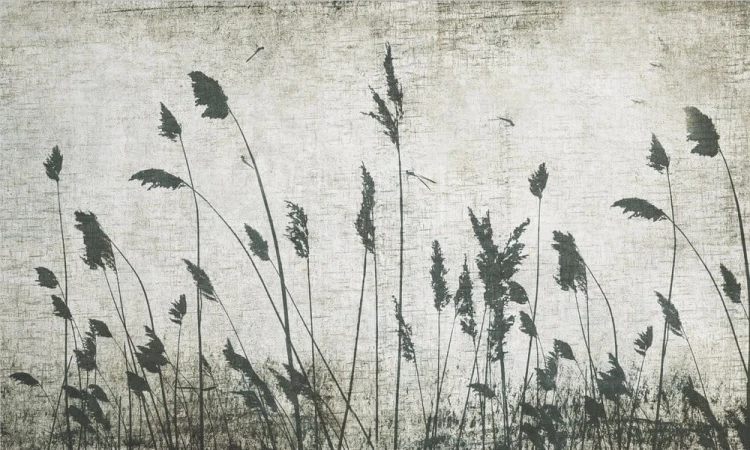 72e97d0c7d61d8d4c69e1b4c87283f22