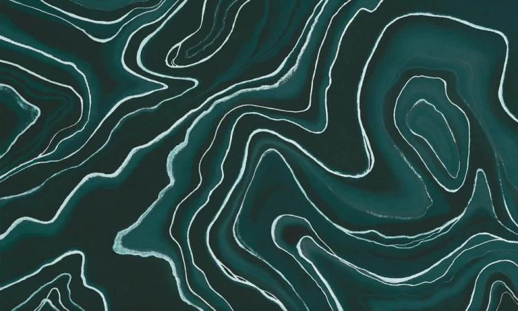 c983cd98aecd490616143e05880cd1a0