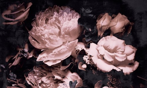 3414c05e6cd08daacad82c2e922b1c94