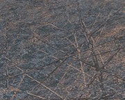 c447f856a7ce3f821d0d6435faf93806