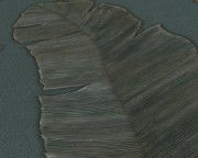 e00898ec94664dc0e008a98bc161f48d
