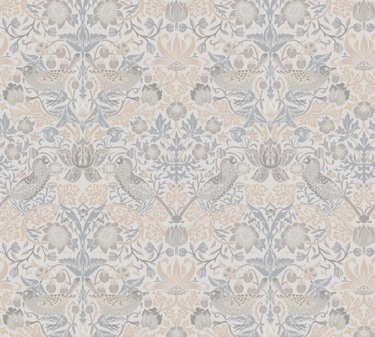 46e868ad62b1c6557066b3352a2ef242