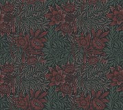 afa7b4b7a9572eb430a38caaa434d458