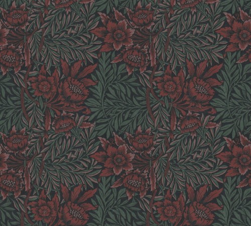 afa7b4b7a9572eb430a38caaa434d458