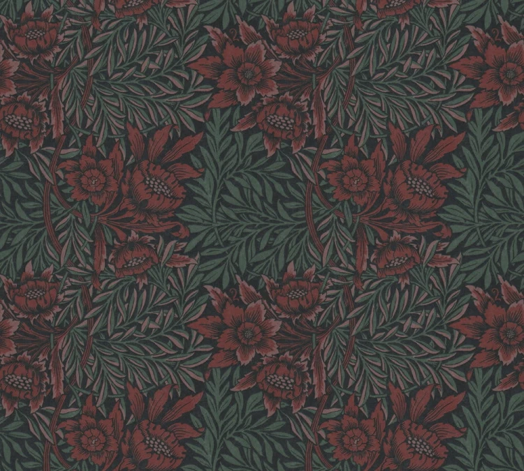 afa7b4b7a9572eb430a38caaa434d458