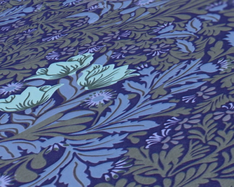 e54ec3bedc54216d900d99a374061512