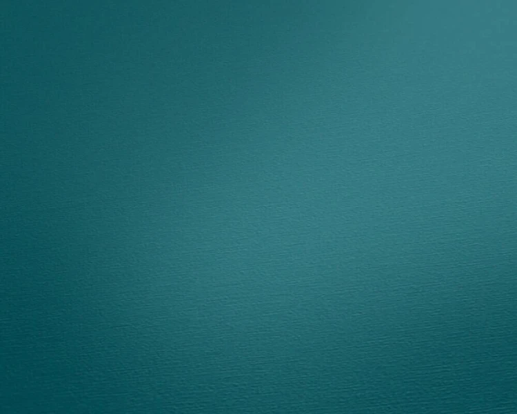 335ece5d064a26cdd2fe2223e2ab0865