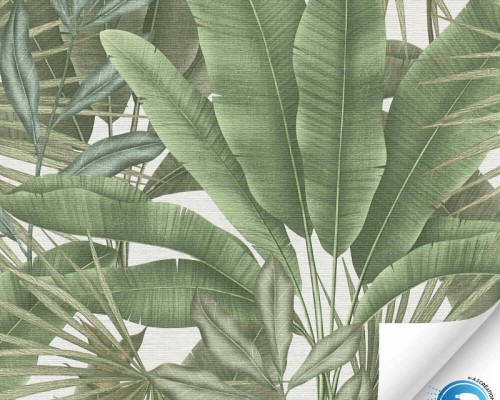 50543810dba4f21d6335ea84961df7ae