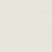 b12eee8ac3bb4c3fe0bd9447a8e94de8_1920x1920.webp