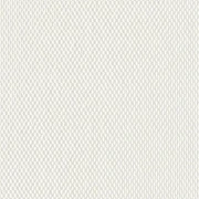 5105659fe2dece6b0efc309306f57845_1920x1920.webp