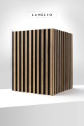 3d_asti_OAK_craft.jpg