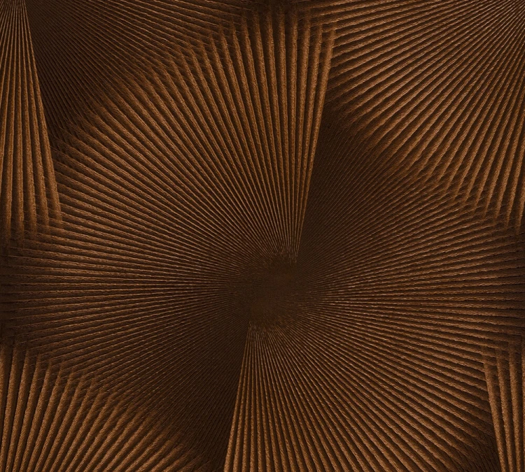 267e337db6f00c50825c2e70f372ca49