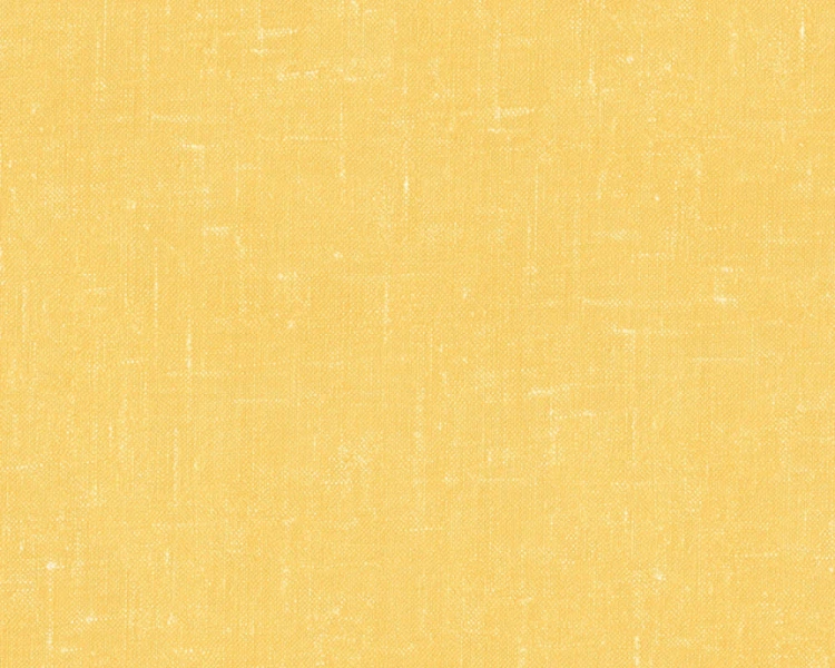 50debf53b2357467a8e1693c61436834
