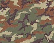 51fa6e4b36c06a4c86e1dc07af8e1814