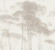 431f329a05ab6ae3f65c3134cdd91914