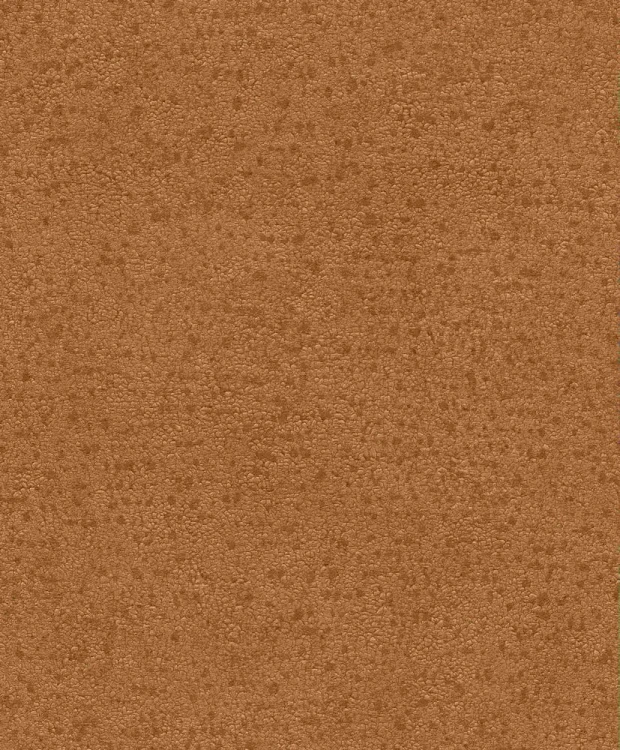 BE100073.jpg