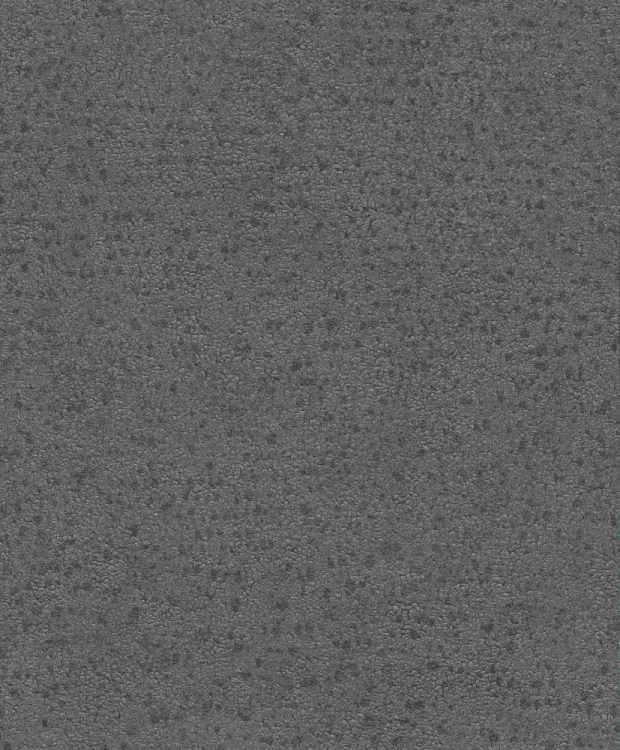 BE100072.jpg