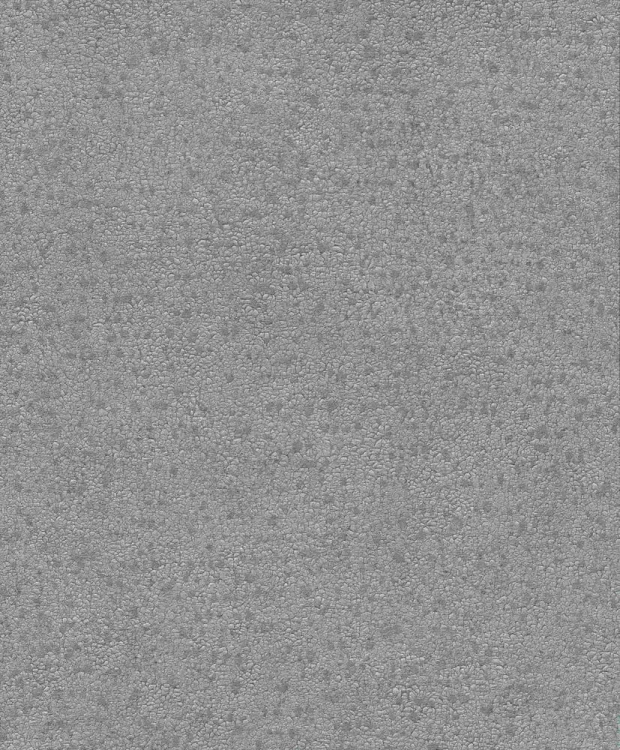 BE100071.jpg