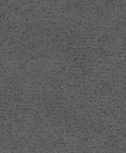 BE100069.jpg
