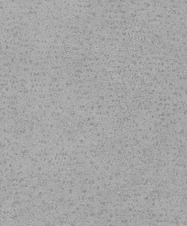 BE100067.jpg