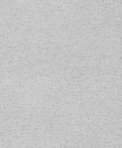 BE100066.jpg