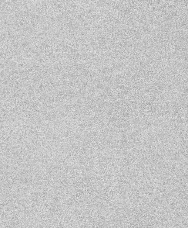 BE100066.jpg