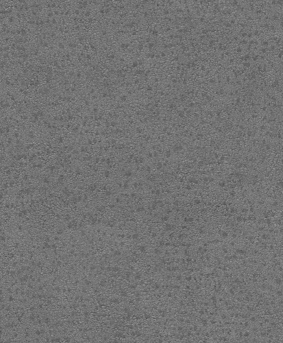 BE100065.jpg