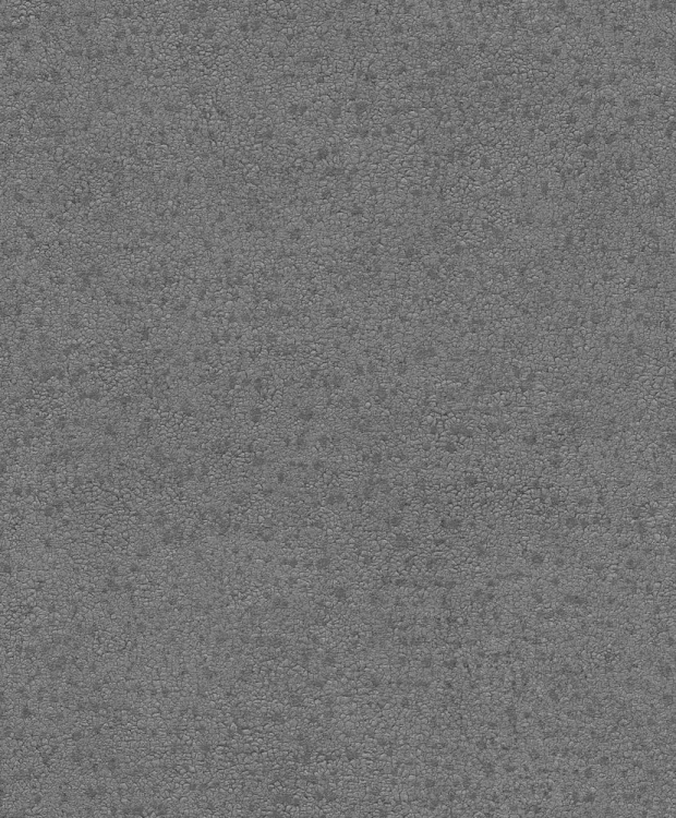 BE100065.jpg