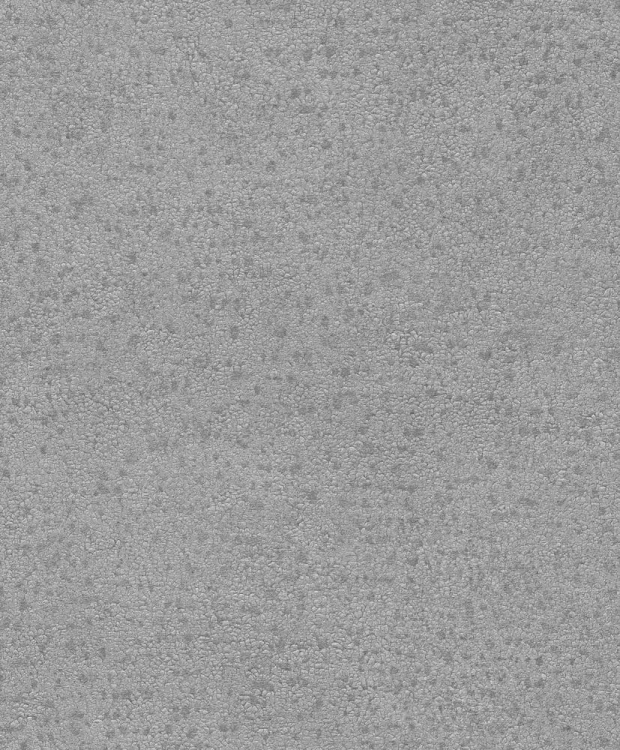 BE100063.jpg