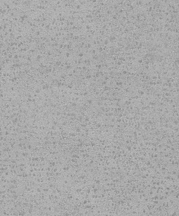 BE100062.jpg