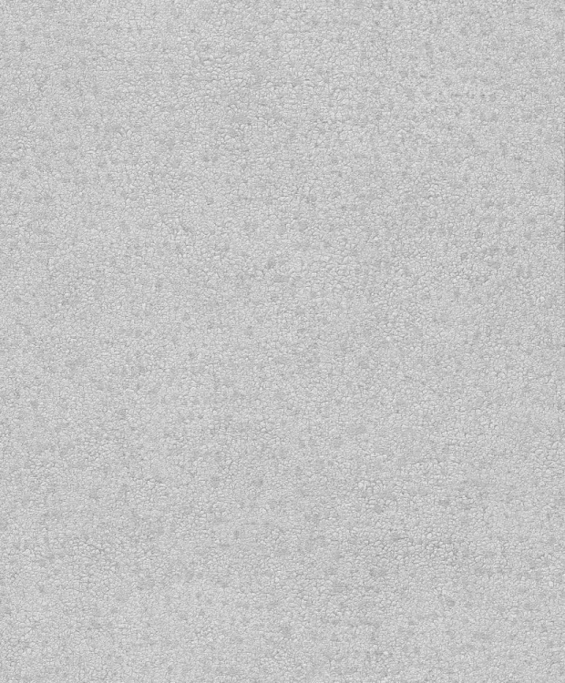 BE100061.jpg