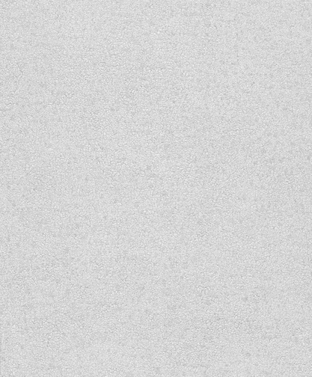 BE100060.jpg