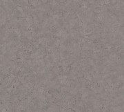 5a264ff2157367d6d0672f4bd185f9a1