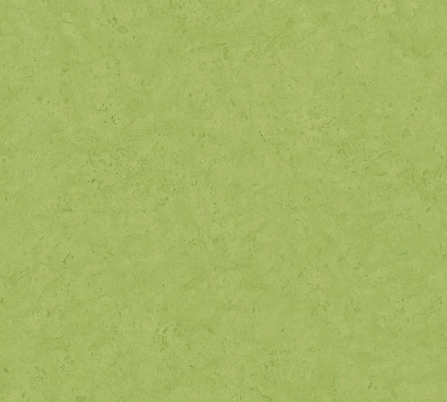 716e538f2745c71431ea7ed843d22a60