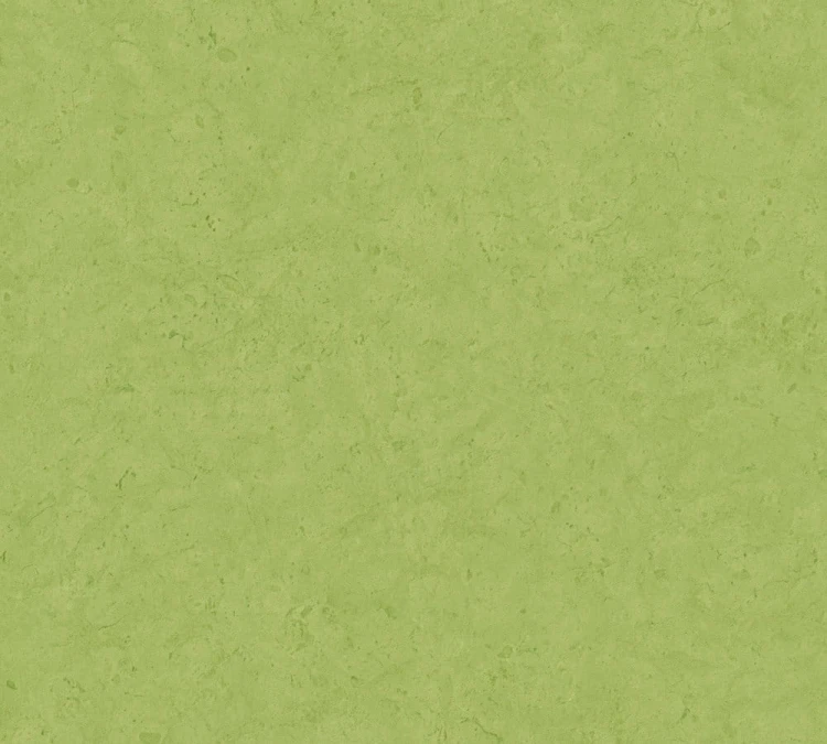 716e538f2745c71431ea7ed843d22a60