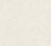 c580c84ad15ff8019a1b8e006bf4cffc
